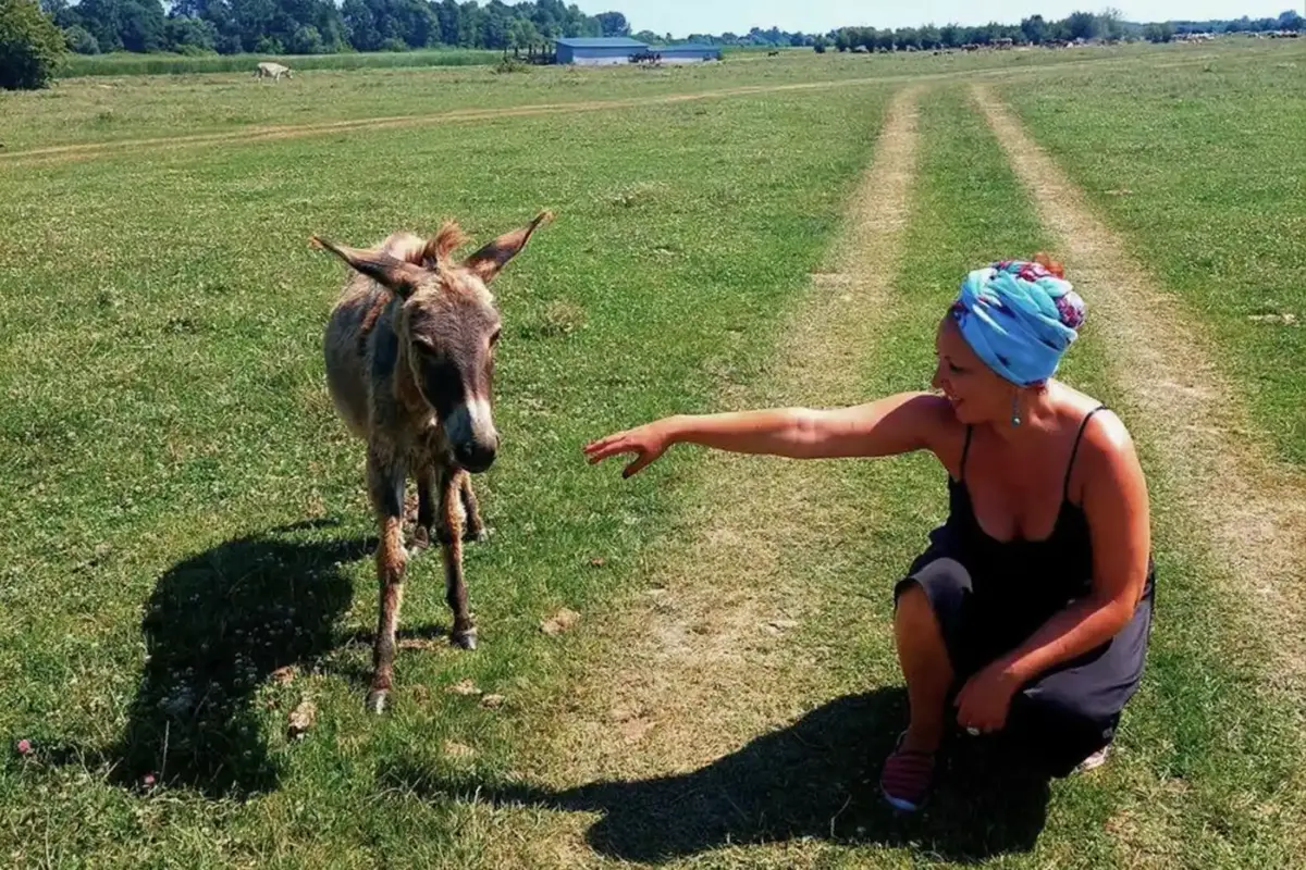 Smiljana Popov pruža ruku da pomazi magare