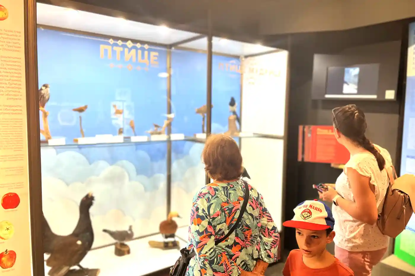 Posetioci prirodnjačkog muzeja čitaju o pticama